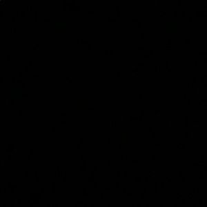 Meet your Posher, Ally